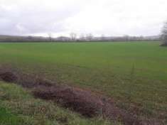 Foto Terreno agricolo in vendita a Monteriggioni 1100000 mq  Rif: 1257872