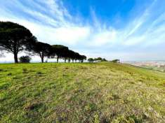 Foto Terreno agricolo in vendita a Monterotondo