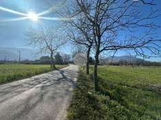 Foto Terreno agricolo in vendita a Montesarchio