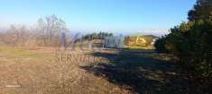 Foto Terreno agricolo in vendita a Montiano