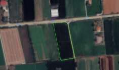 Foto Terreno agricolo in vendita a Montichiari