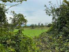 Foto Terreno agricolo in Vendita a Montichiari Novagli
