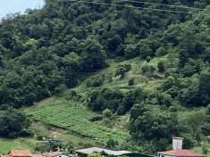 Foto Terreno agricolo in vendita a Montorso Vicentino