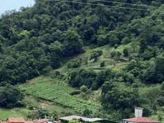 Foto Terreno agricolo in vendita a Montorso Vicentino
