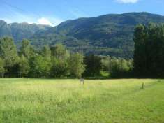 Foto Terreno agricolo in vendita a Morbegno