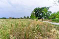 Foto Terreno agricolo in vendita a Morrovalle