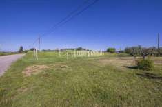 Foto Terreno agricolo in vendita a Morrovalle