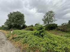 Foto Terreno agricolo in vendita a Mortara