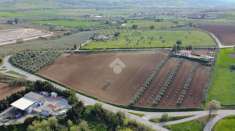 Foto Terreno agricolo in vendita a Mosciano Sant'Angelo