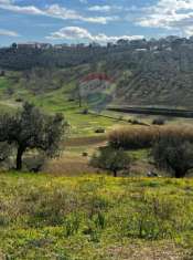 Foto Terreno agricolo in vendita a Moscufo