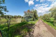 Foto Terreno agricolo in vendita a Motta Sant'Anastasia