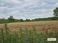 Foto Terreno agricolo in Vendita a Motta Visconti strada Statale 526