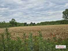 Foto Terreno agricolo in Vendita a Motta Visconti strada Statale 526