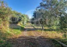 Foto Terreno agricolo in vendita a Nettuno