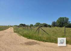 Foto Terreno agricolo in vendita a Nettuno
