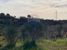 Foto Terreno agricolo in vendita a Nicolosi
