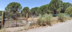 Foto Terreno agricolo in vendita a Nicolosi