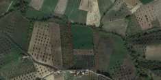 Foto Terreno agricolo in vendita a Notaresco