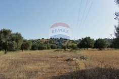 Foto Terreno agricolo in vendita a Noto