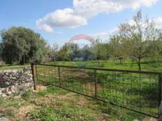 Foto Terreno agricolo in vendita a Noto