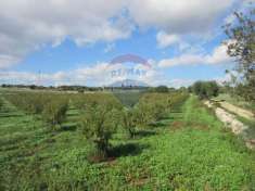 Foto Terreno agricolo in vendita a Noto