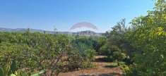 Foto Terreno agricolo in vendita a Noto
