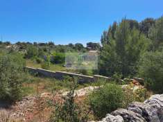 Foto Terreno agricolo in vendita a Noto