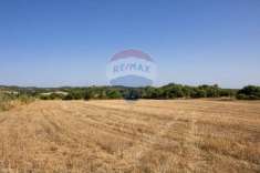 Foto Terreno agricolo in vendita a Noto