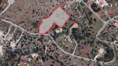 Foto Terreno agricolo in vendita a Noto