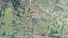 Foto Terreno agricolo in vendita a Noto