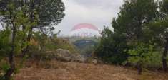 Foto Terreno agricolo in vendita a Noto