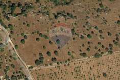 Foto Terreno agricolo in vendita a Noto