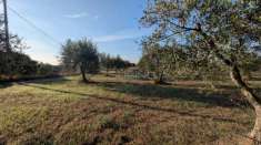 Foto Terreno agricolo in vendita a Noto