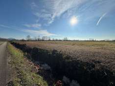 Foto Terreno agricolo in vendita a Noventa Vicentina