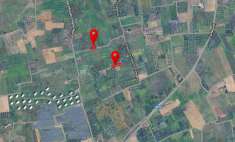 Foto Terreno agricolo in vendita a Novoli