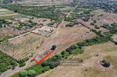 Foto Terreno agricolo in vendita a Olbia