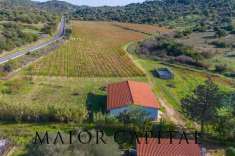 Foto Terreno agricolo in vendita a Oliena