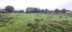Foto Terreno agricolo in vendita a Orentano - Castelfranco di Sotto 5970 mq  Rif: 1221175