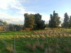 Foto Terreno agricolo in vendita a Oristano