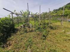 Foto Terreno agricolo in vendita a Orsomarso