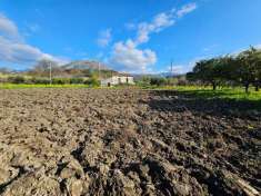 Foto Terreno agricolo in vendita a Orsomarso