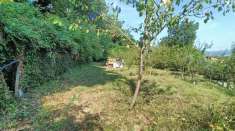 Foto Terreno agricolo in vendita a Orte