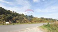 Foto Terreno agricolo in vendita a Ortovero