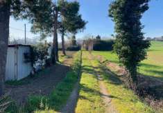 Foto Terreno agricolo in vendita a Osimo