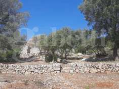 Foto Terreno agricolo in vendita a Ostuni