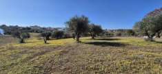 Foto Terreno agricolo in vendita a Ostuni