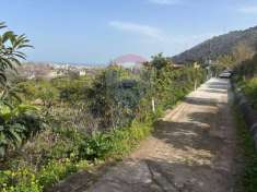 Foto Terreno agricolo in vendita a Palermo