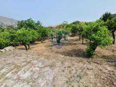 Foto Terreno agricolo in vendita a Palermo