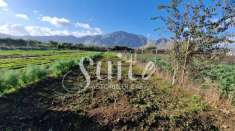 Foto Terreno agricolo in vendita a Palermo