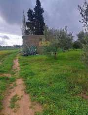 Foto Terreno agricolo in vendita a Palma Campania